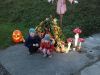 IMG_20231101_164510